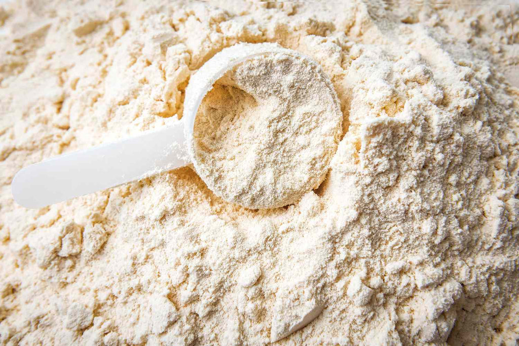 German-engineered whey protein isolate
